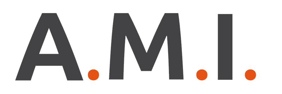 A.M.I. Project - Accounting Management Interface