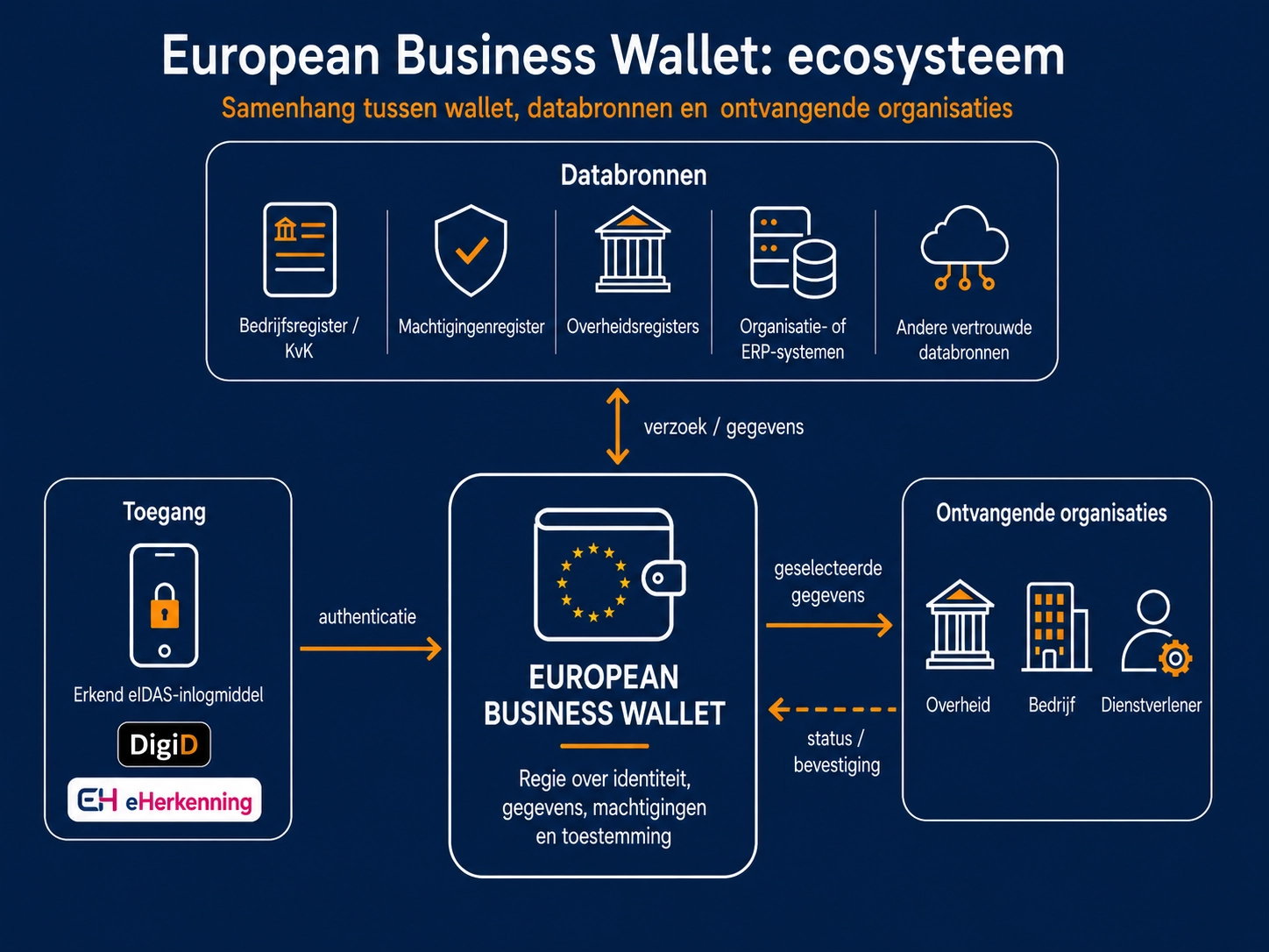 Infographic: European Business Wallet ecosysteem — nationale registers geven credentials uit, opgeslagen in de wallet, verifieerbaar door handelspartners in alle EU-lidstaten. Op basis van eIDAS 2.0.