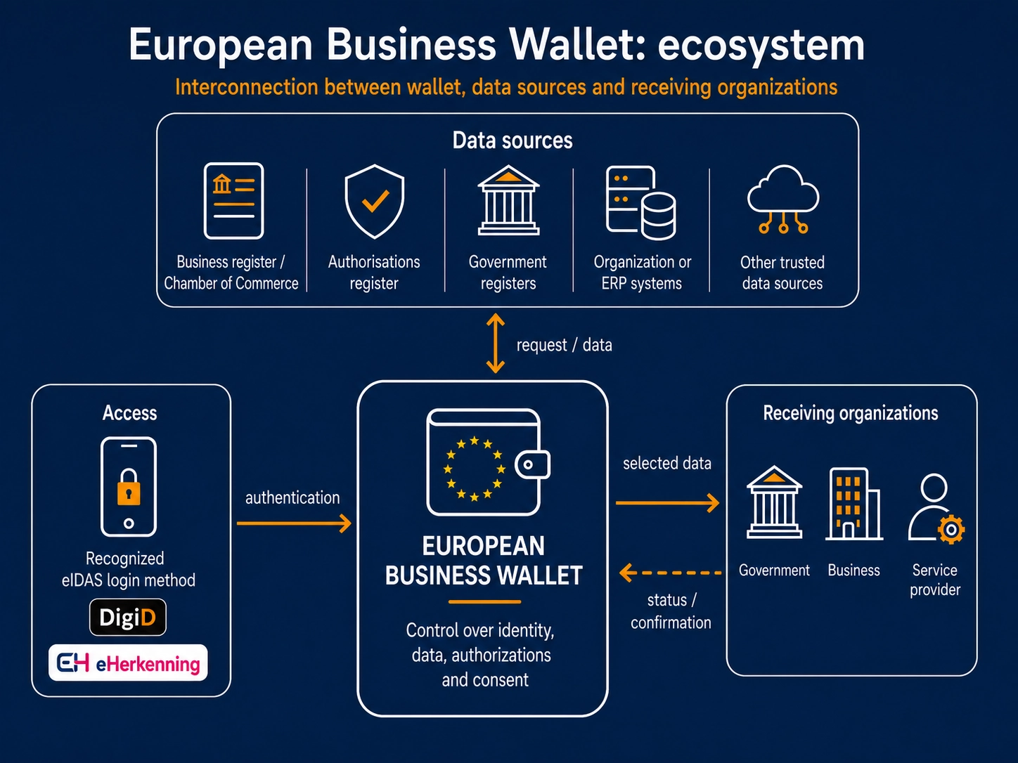 Infographic: European Business Wallet ecosystem — national registers issue credentials, stored in the wallet, verifiable by trade partners across all EU Member States. Based on eIDAS 2.0.