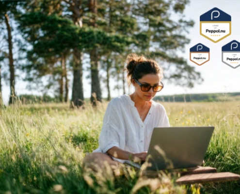 peppol accesspoint kiezen