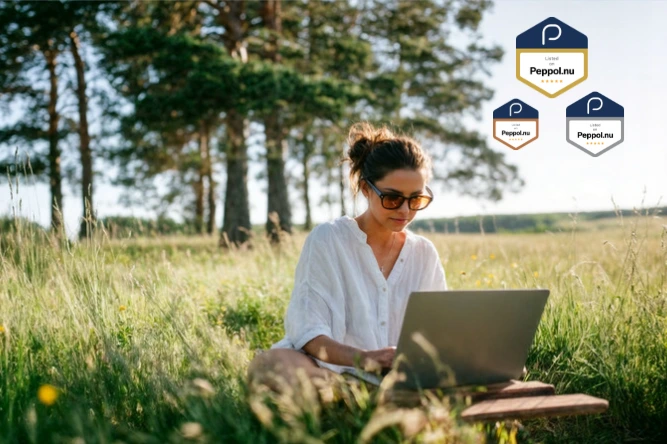 peppol accesspoint kiezen