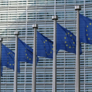 ViDA voortgang lidstaten EU-Raad Tsjechië Zweden juni 2026