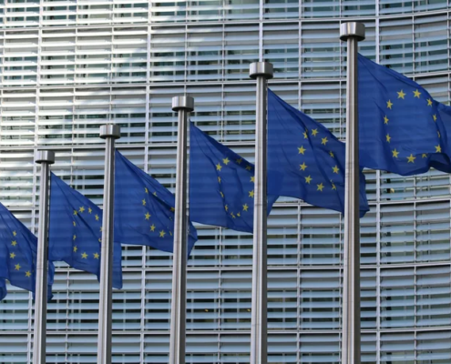 ViDA voortgang lidstaten EU-Raad Tsjechië Zweden juni 2026